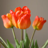 Orange Triumph Tulip Bouquet