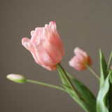 Pink Triumph Tulip Bouquet