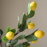 When Life Gives You Lemons