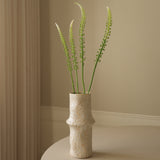 White Actaea Racemosa "Fairy Candle"