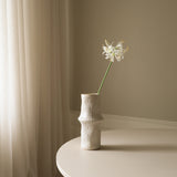 White Higanbana "Spider Lilies" Amaryllis Flower