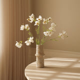 White Large Cosmo Daisy Flowers