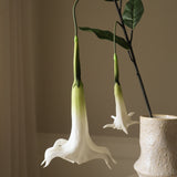 White Large Datura Stramonium Flower