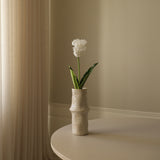 White Large Parrot Tulip Flower