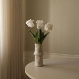 White Large Parrot Tulip Flower