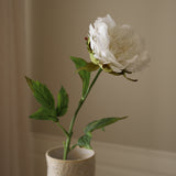 White Peony Flower