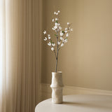 White Star Magnolia Branch