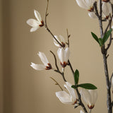 White Star Magnolia Branch