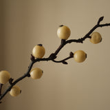 White Winterberry Branch