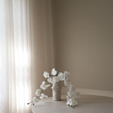 White Grand Orchid Flower