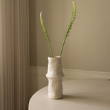 White Actaea Racemosa "Fairy Candle"