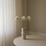 White Agapanthus Flower