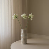 White Agapanthus Flower