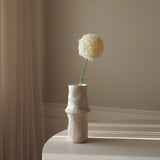 White Allium Giganteum