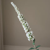 White Foxtail Flower