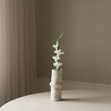 White Gladiolus Flower