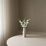 White Gladiolus Flower