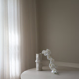 White Grand Orchid Flower