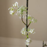 White Snow Willow Branch