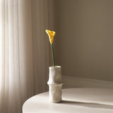 Yellow Calla Lily Flower