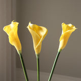 Yellow Calla Lily Flower