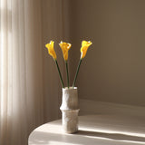 Yellow Calla Lily Flower