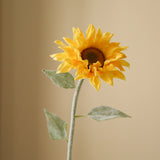 Yellow Pacino Sunflower