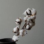 Artificial Dried Cotton Branch from Botané