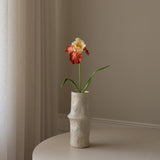 Light Orange Bearded Iris Flower
