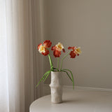 Light Orange Bearded Iris Flower