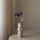 Purple Parrot Tulip Flower