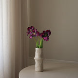 Purple Parrot Tulip Flower