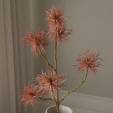 Pink Allium Fido Dido Flower