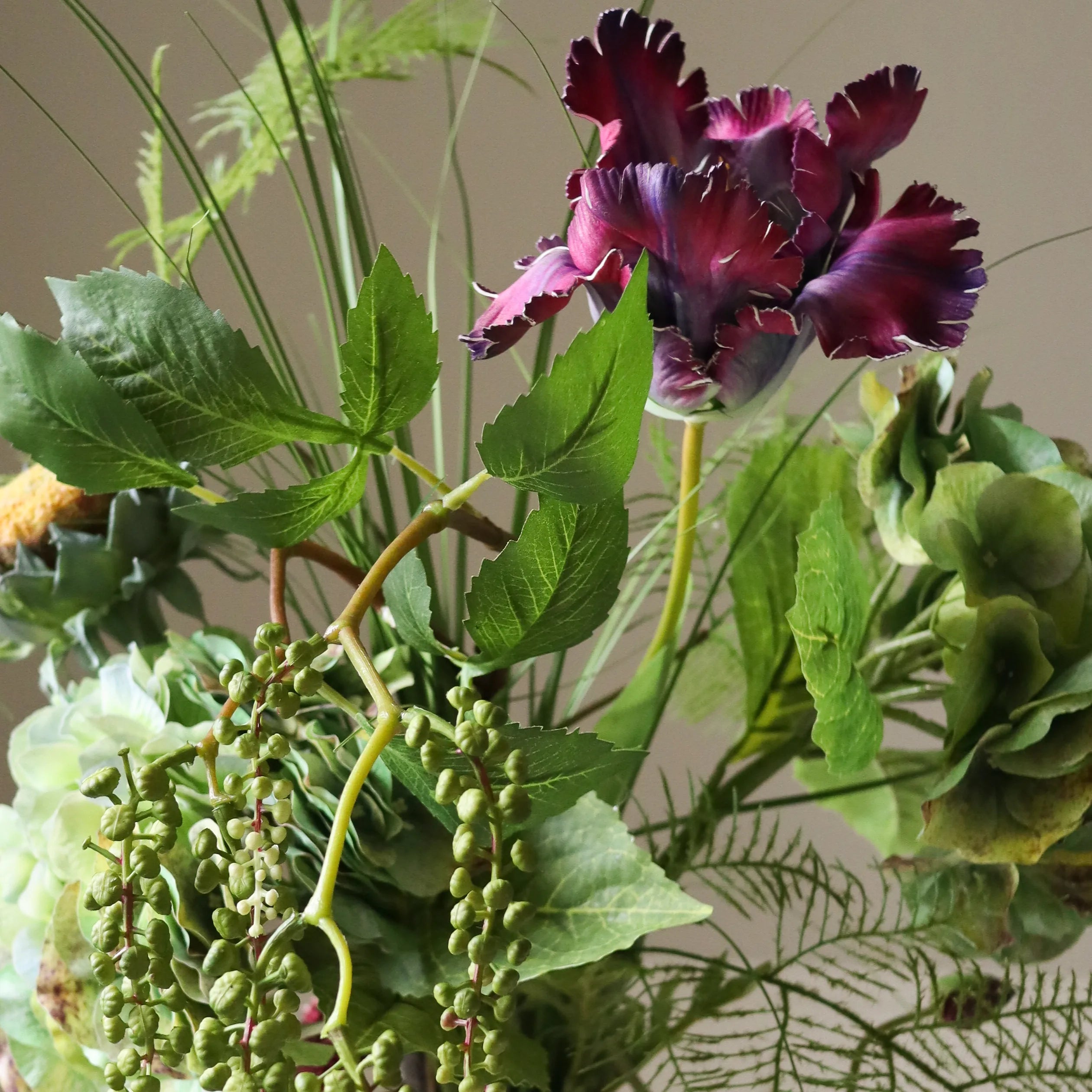 New Arrivals – Botané