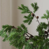 Nordic Pine
