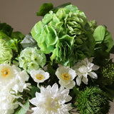 Verdant Bloom