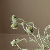 Poppy Bud Bouquet