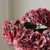 Burgundy Hydrangea Bouquet