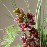 Midnight Orchid