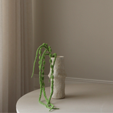 Light Green Amaranthus Caudatus Six Forks