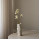 Cream Allium Fido Dido Flower