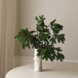 Nordic Pine