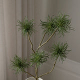 Green Allium Fido Dido Flower
