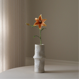 Orange Lily Flower
