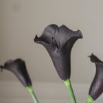 img-3|d66103fa