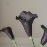 img-3|d66103fa