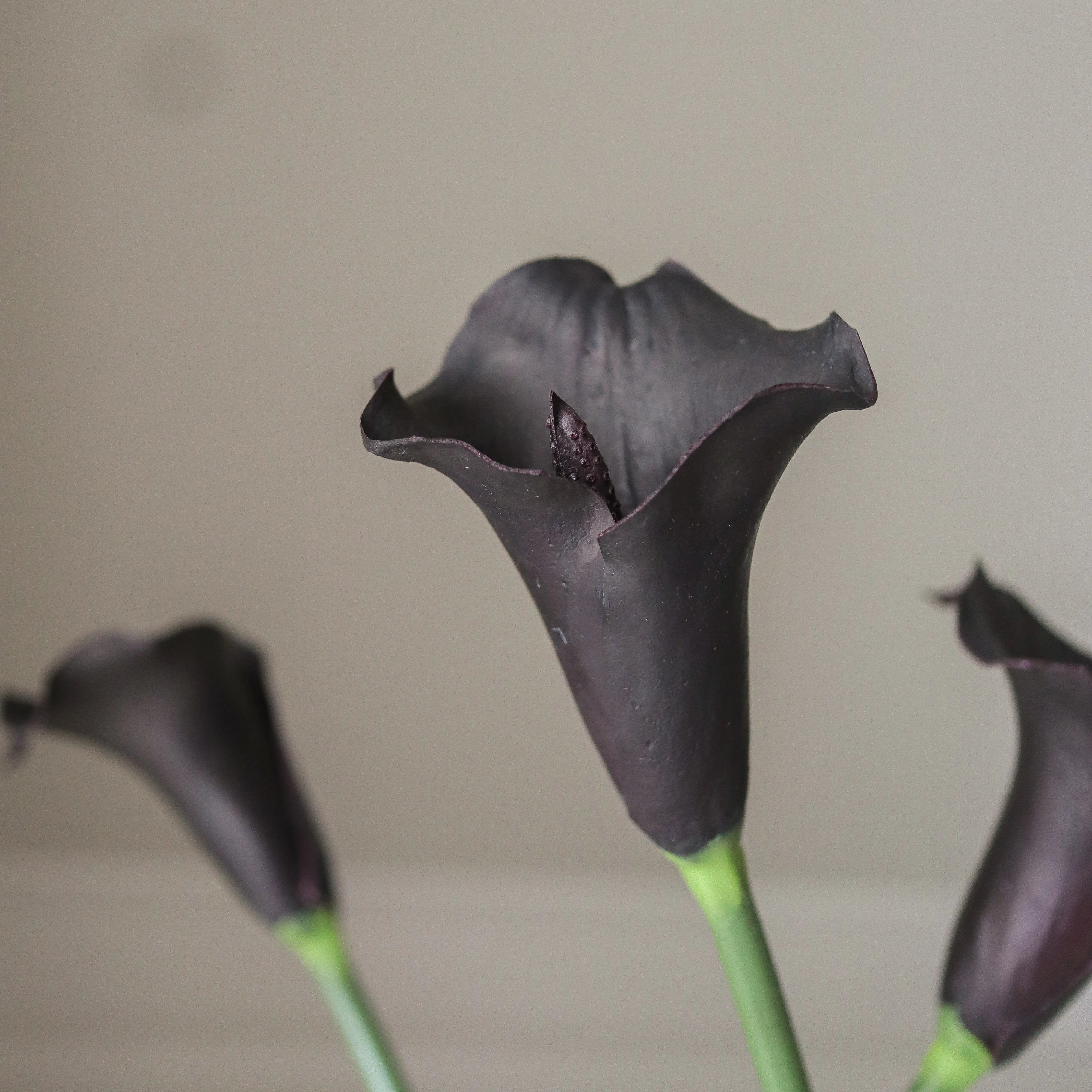 img-3|d66103fa