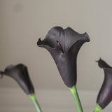 img-4|18f10a81