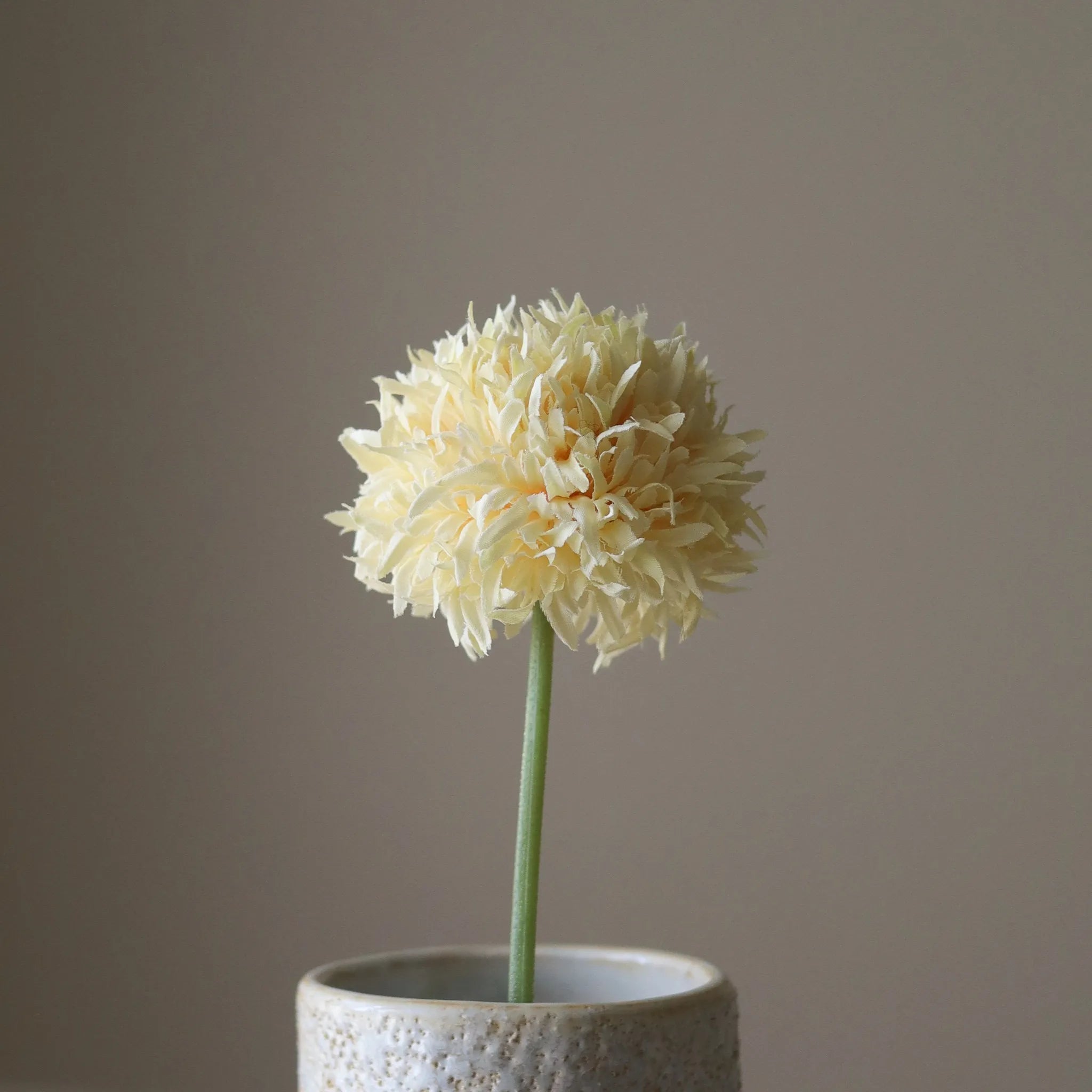 img-2|f5f01732