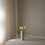 img-3|c5e2a596